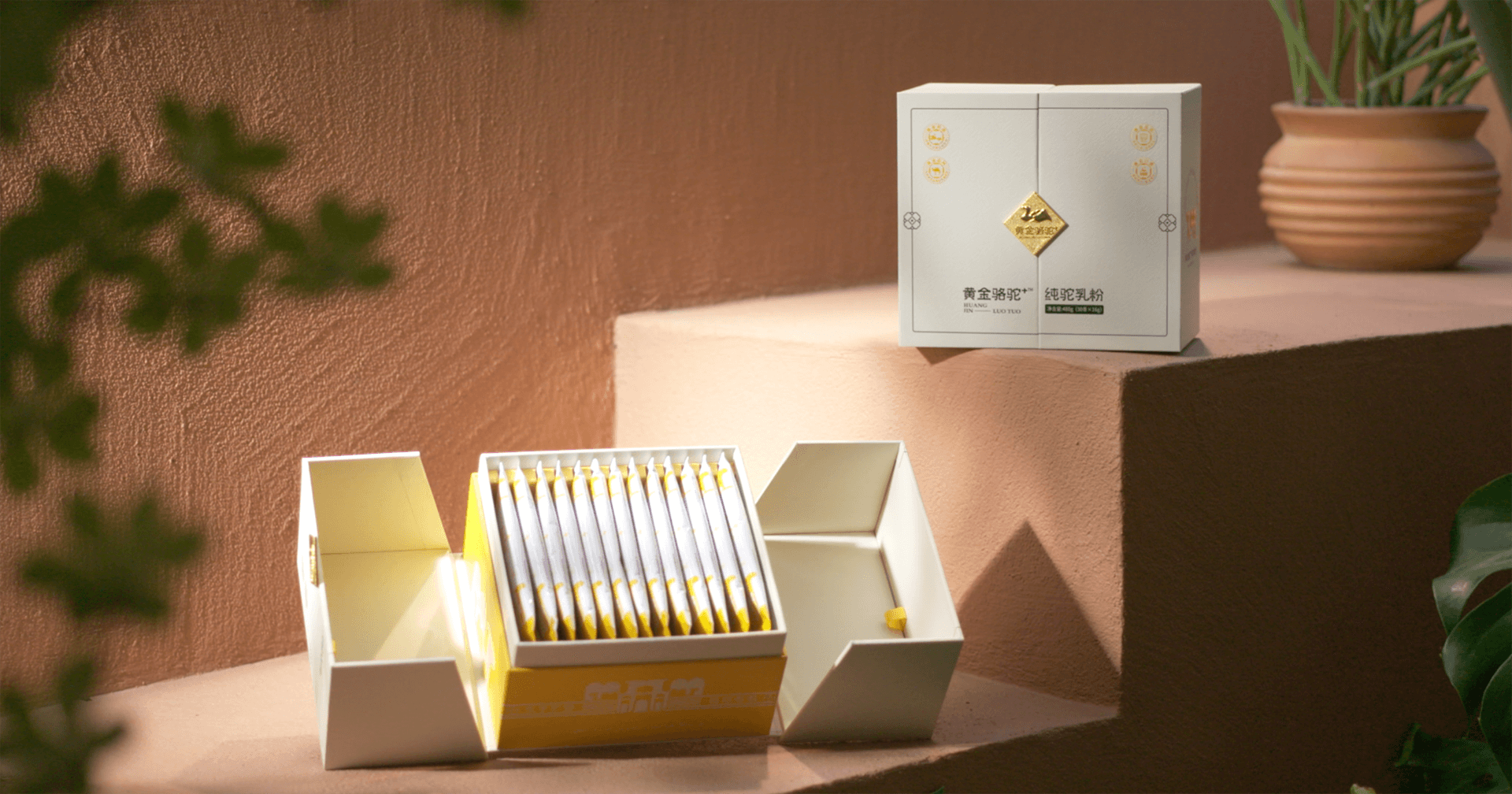 定位小众高端乳粉，AG尊龙凯时推出驼奶品牌“黄金骆驼+”，角逐乳品新市场！